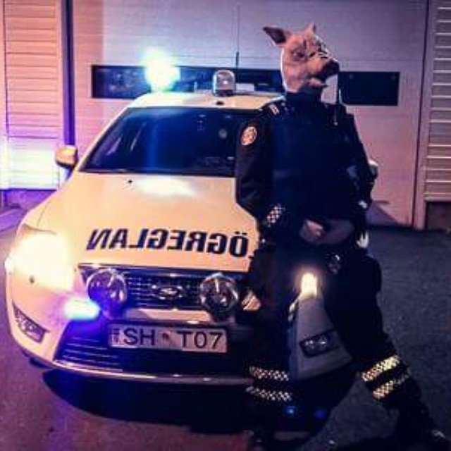 Котики, еда и красивые девушки в Инстаграме исландской полиции