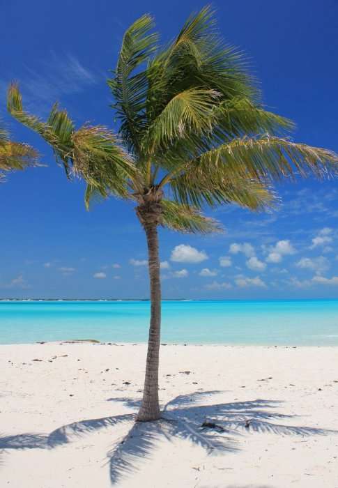 Райские пляжи Багамских островов