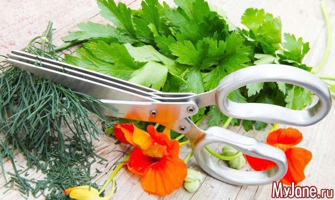 Корисні та прості рецепти з дикоросами