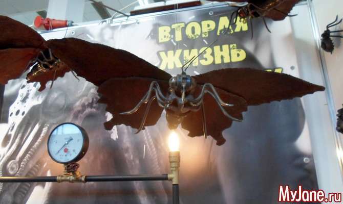 Друга життя (повернення зі звалища)