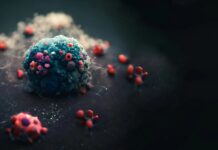 Kannabinoidy są obiecujące w walce z rakiem jajnika