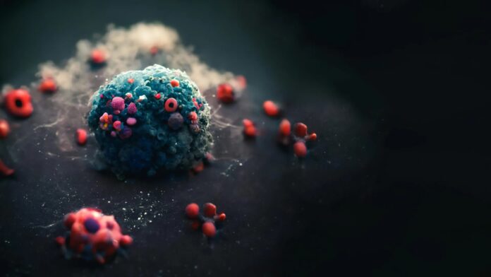 7d78e65c-2f73-4b99-b9fa-4a87c4c6fe3f