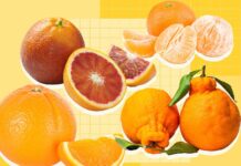 Полное руководство по апельсинам: сорта, сезонность и как выбрать лучшие