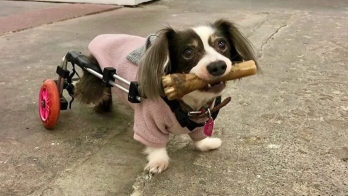 c6882b96-d53e-4733-9fdf-a5b2e026c1e4