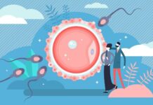 Beyond Fertility: Why Reproductive Health Is the Foundation of Total Wellbeing